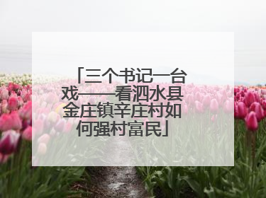 三个书记一台戏——看泗水县金庄镇辛庄村如何强村富民