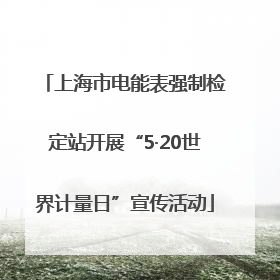 上海市电能表强制检定站开展“5·20世界计量日”宣传活动