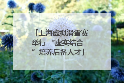 上海虚拟滑雪赛举行 “虚实结合”培养后备人才