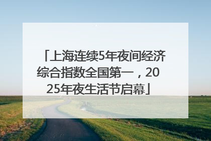 上海连续5年夜间经济综合指数全国第一，2025年夜生活节启幕