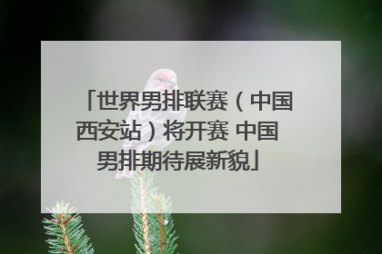 世界男排联赛（中国西安站）将开赛 中国男排期待展新貌