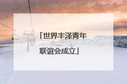 世界丰泽青年联谊会成立