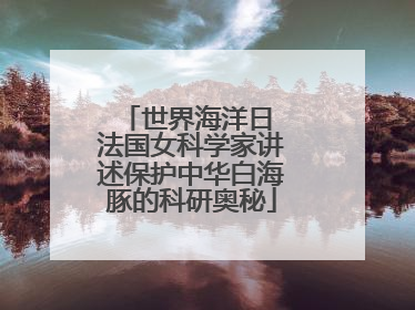 世界海洋日 法国女科学家讲述保护中华白海豚的科研奥秘
