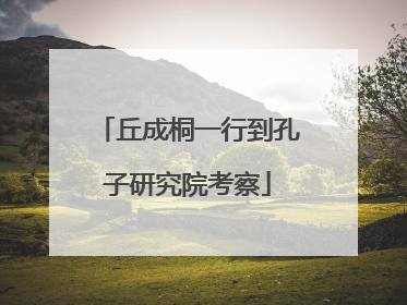 丘成桐一行到孔子研究院考察