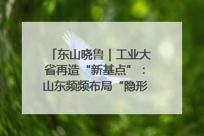 东山晓鲁｜工业大省再造“新基点”：山东频频布局“隐形冠军”背后
