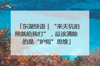 东湖快语｜“来天坑拍照就给我打”，最该清除的是“护短”思维