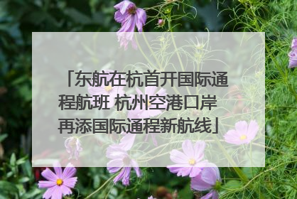 东航在杭首开国际通程航班 杭州空港口岸再添国际通程新航线