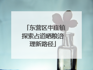 东营区牛庄镇探索占道晒粮治理新路径