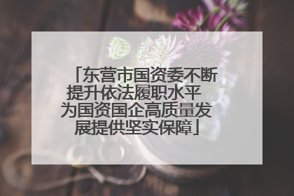 东营市国资委不断提升依法履职水平 为国资国企高质量发展提供坚实保障