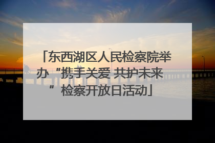 东西湖区人民检察院举办“携手关爱 共护未来”检察开放日活动