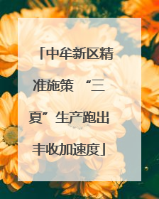 中牟新区精准施策 “三夏”生产跑出丰收加速度