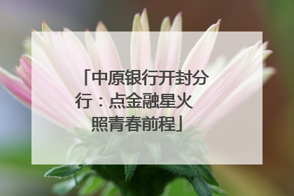 中原银行开封分行：点金融星火 照青春前程