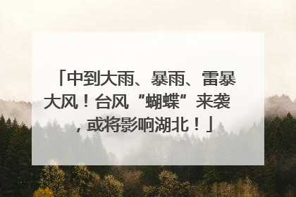 中到大雨、暴雨、雷暴大风！台风“蝴蝶”来袭，或将影响湖北！