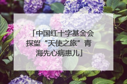 中国红十字基金会探望“天使之旅”青海先心病患儿