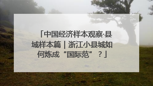 中国经济样本观察·县域样本篇｜浙江小县城如何炼成“国际范”？