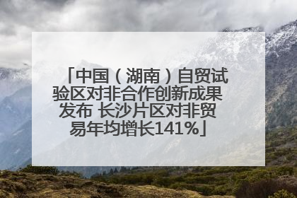 中国（湖南）自贸试验区对非合作创新成果发布 长沙片区对非贸易年均增长141%