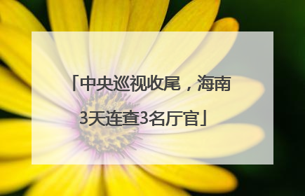 中央巡视收尾，海南3天连查3名厅官