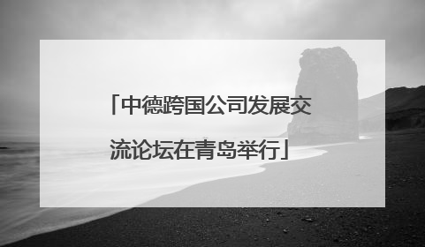 中德跨国公司发展交流论坛在青岛举行