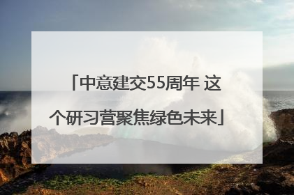 中意建交55周年 这个研习营聚焦绿色未来