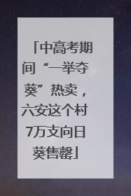 中高考期间“一举夺葵”热卖，六安这个村7万支向日葵售罄