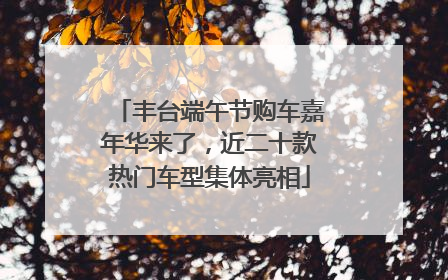 丰台端午节购车嘉年华来了，近二十款热门车型集体亮相