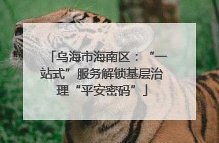 乌海市海南区：“一站式”服务解锁基层治理“平安密码”