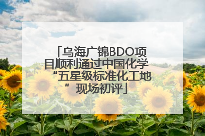 乌海广锦BDO项目顺利通过中国化学“五星级标准化工地”现场初评
