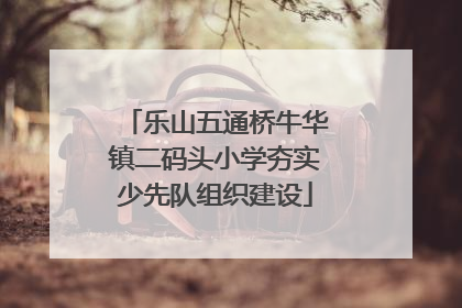 乐山五通桥牛华镇二码头小学夯实少先队组织建设