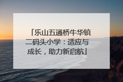 乐山五通桥牛华镇二码头小学：适应与成长，助力新启航