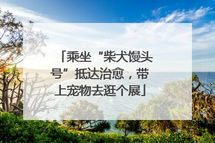 乘坐“柴犬馒头号”抵达治愈，带上宠物去逛个展