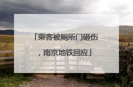 乘客被厕所门砸伤，南京地铁回应