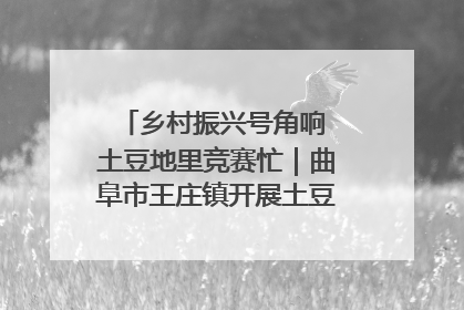 乡村振兴号角响 土豆地里竞赛忙｜曲阜市王庄镇开展土豆收获劳动竞赛
