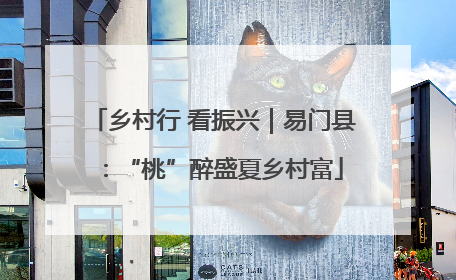 乡村行 看振兴｜易门县：“桃”醉盛夏乡村富