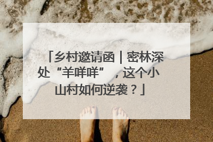乡村邀请函｜密林深处“羊咩咩”，这个小山村如何逆袭？