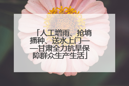 人工增雨、抢墒播种、送水上门——甘肃全力抗旱保障群众生产生活