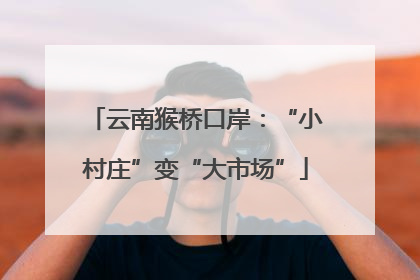 云南猴桥口岸：“小村庄”变“大市场”