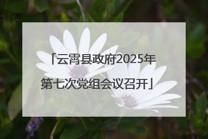 云霄县政府2025年第七次党组会议召开