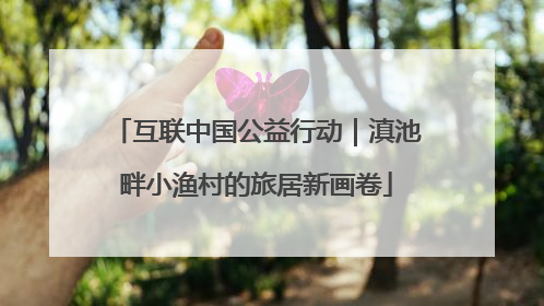 互联中国公益行动｜滇池畔小渔村的旅居新画卷