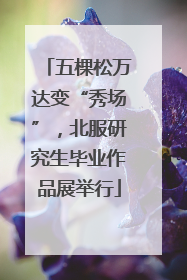 五棵松万达变“秀场”，北服研究生毕业作品展举行
