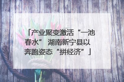产业聚变激活“一池春水” 湖南新宁县以奔跑姿态“拼经济”