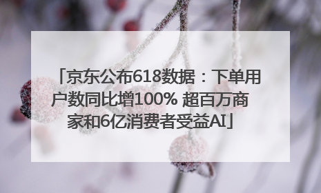 京东公布618数据：下单用户数同比增100% 超百万商家和6亿消费者受益AI