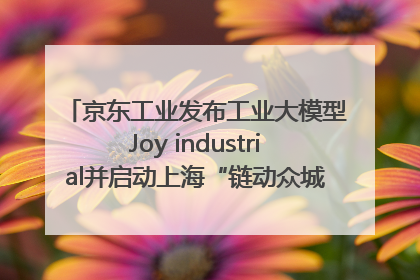 京东工业发布工业大模型Joy industrial并启动上海“链动众城 万亿降本”计划