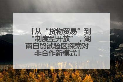 从“货物贸易”到“制度型开放”，湖南自贸试验区探索对非合作新模式