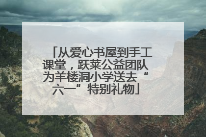 从爱心书屋到手工课堂，跃莱公益团队为羊楼洞小学送去“六一”特别礼物