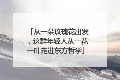 从一朵玫瑰花出发，这群年轻人从一花一叶走进东方哲学