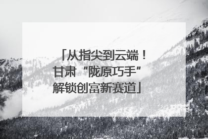 从指尖到云端！甘肃“陇原巧手”解锁创富新赛道