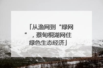 从渔网到“绿网”，蔡甸桐湖网住绿色生态经济