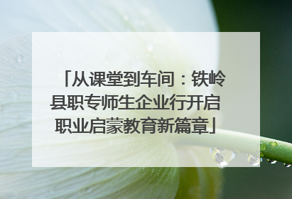 从课堂到车间：铁岭县职专师生企业行开启职业启蒙教育新篇章