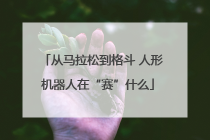 从马拉松到格斗 人形机器人在“赛”什么