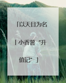 以天目为名丨小香薯“升值记”